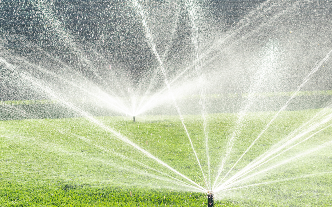 Watering Smart: Lawn Irrigation Techniques for Water Conservation